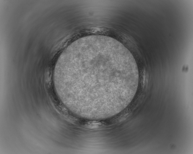 X0000113960607200911061327