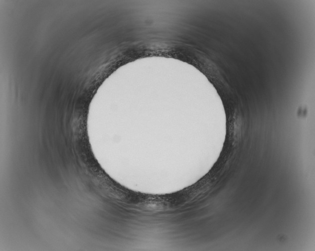 X0000113960608200911061327