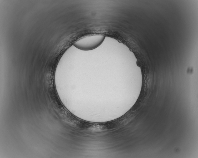 X0000113960609200911061327