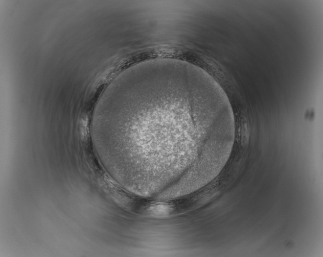 X0000113960610200911061327