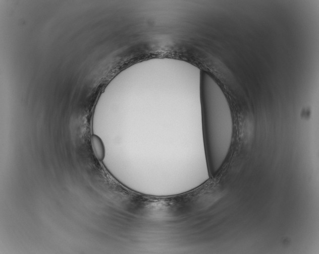 X0000113960611200911061327