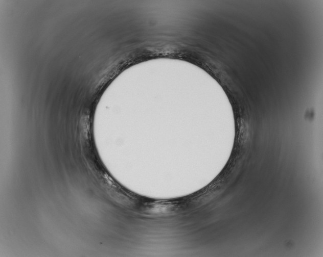 X0000113960612200911061327