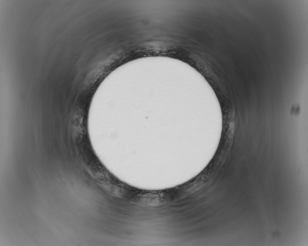 X0000113960615200911061327