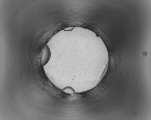 X0000113960617200911061327