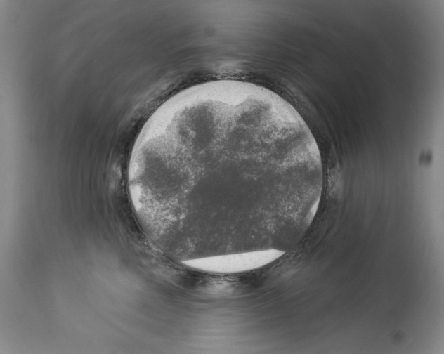 X0000113960618200911061327