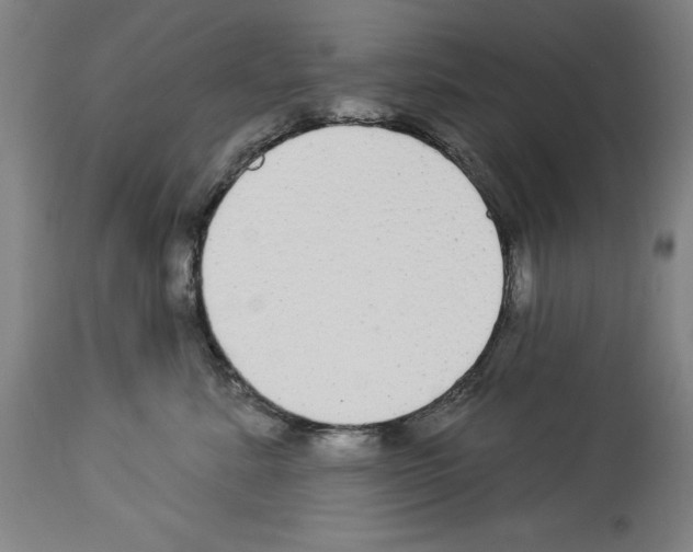 X0000113960619200911061327