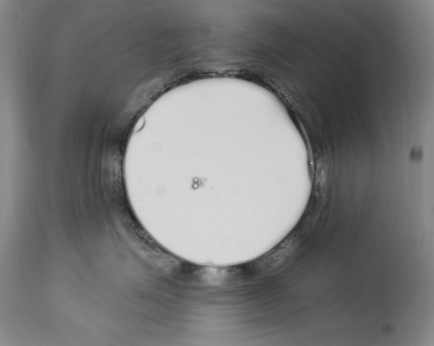 X0000113960623200911061327
