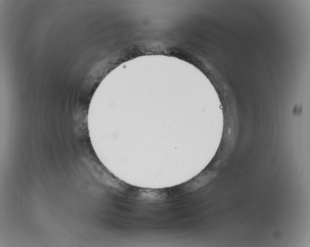 X0000113960624200911061327