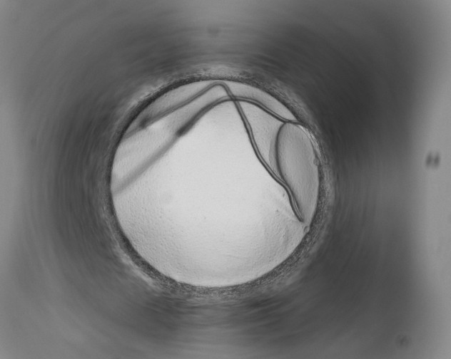 X0000113960625200911061326