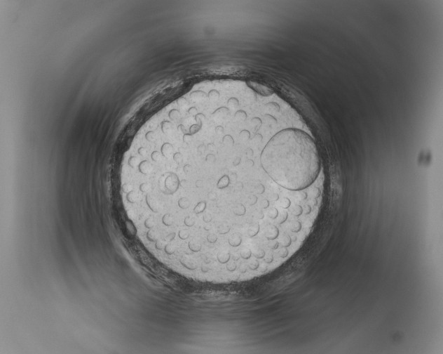 X0000113960626200911061326