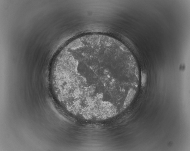 X0000113960627200911061326