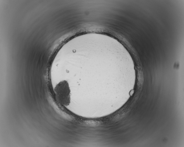 X0000113960629200911061326