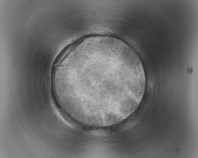 X0000113960630200911061326