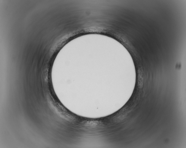 X0000113960631200911061326