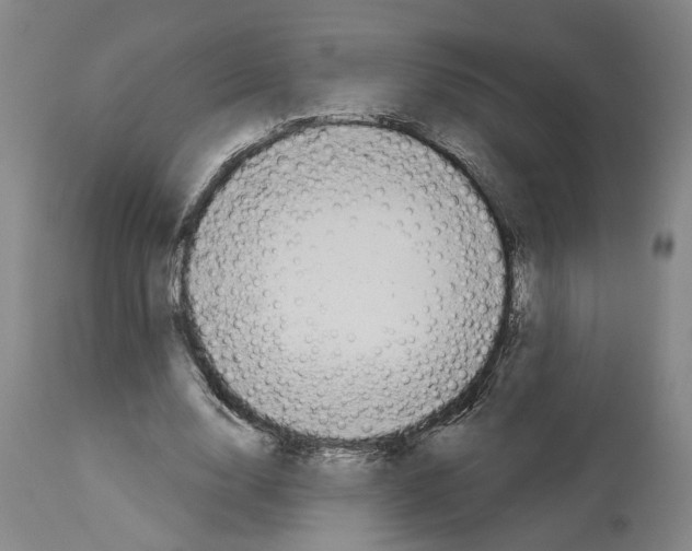 X0000113960632200911061326