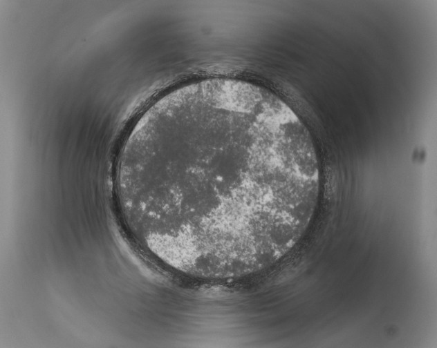 X0000113960634200911061326