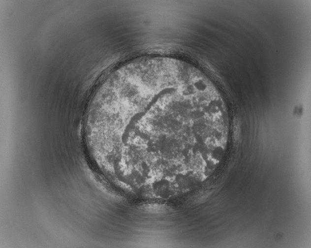 X0000113960637200911061326