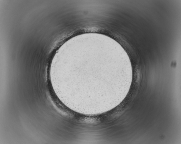 X0000113960638200911061326