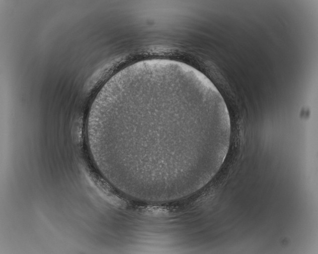 X0000113960640200911061326