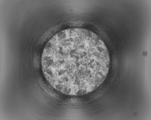 X0000113960641200911061326