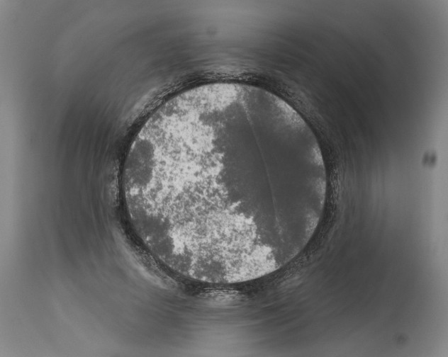 X0000113960642200911061326
