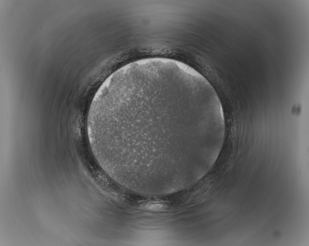 X0000113960643200911061326