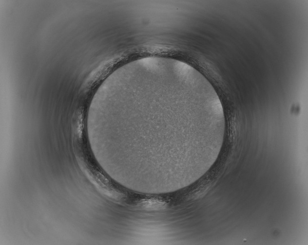 X0000113960644200911061326