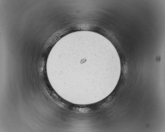 X0000113960645200911061326