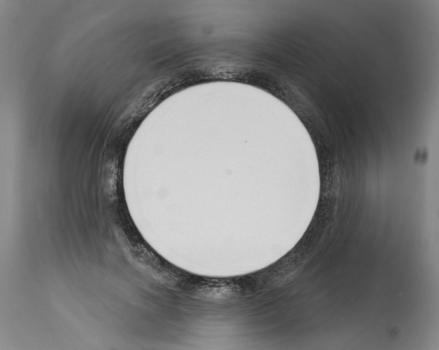 X0000113960646200911061326
