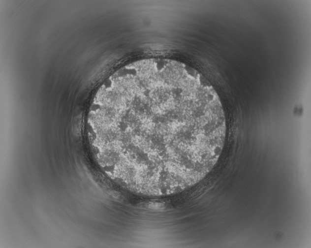 X0000113960647200911061326