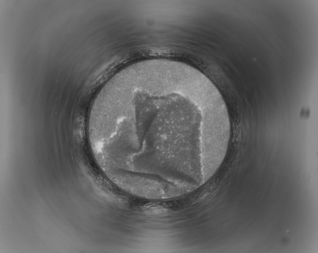 X0000113960648200911061326