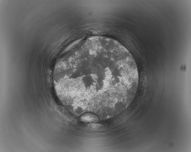 X0000113960650200911061326
