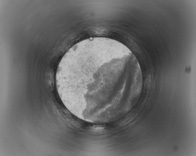 X0000113960651200911061326