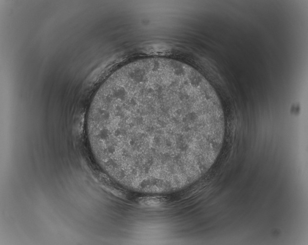 X0000113960652200911061326