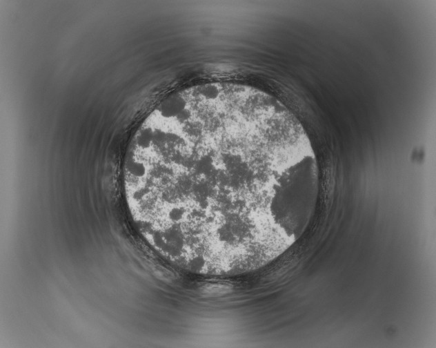 X0000113960653200911061326
