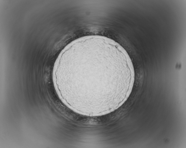 X0000113960656200911061327