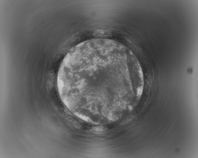 X0000113960659200911061327