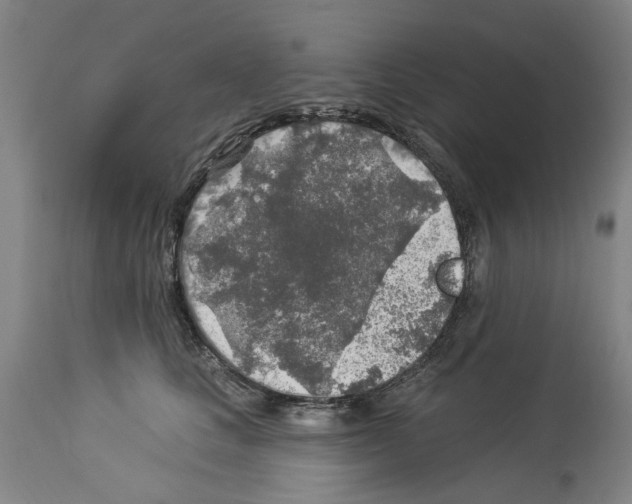 X0000113960661200911061327