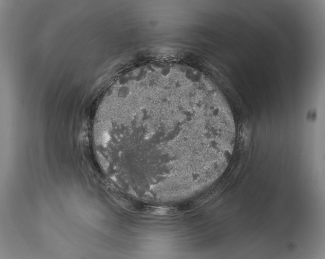 X0000113960663200911061327