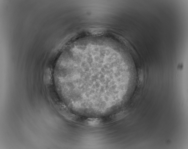 X0000113960667200911061327