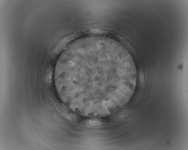 X0000113960668200911061327