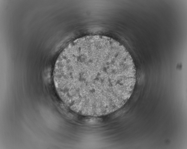 X0000113960670200911061327