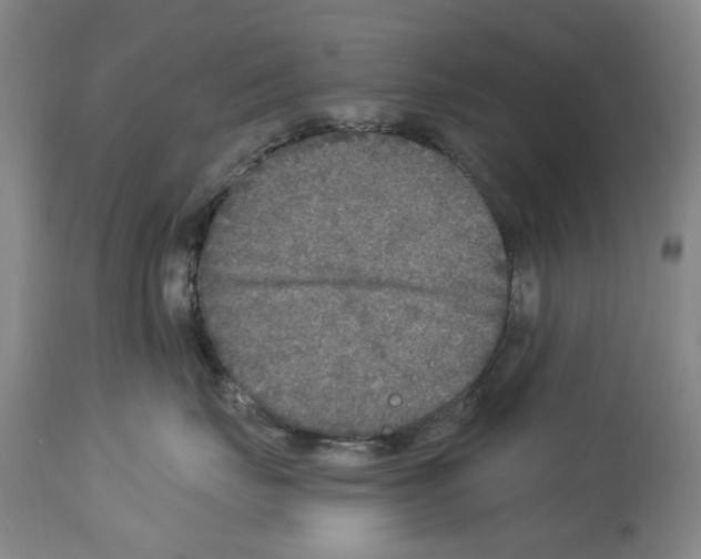 X0000113960671200911061327