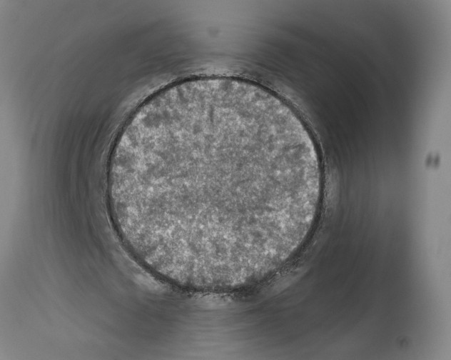 X0000113960673200911061326