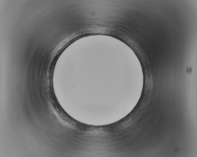 X0000113960674200911061326