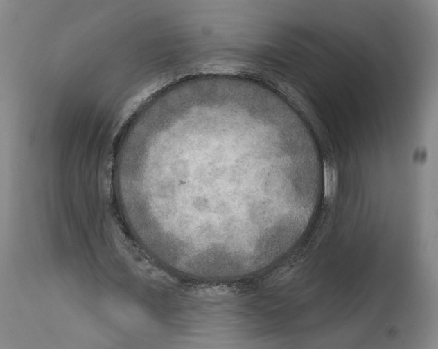 X0000113960675200911061326