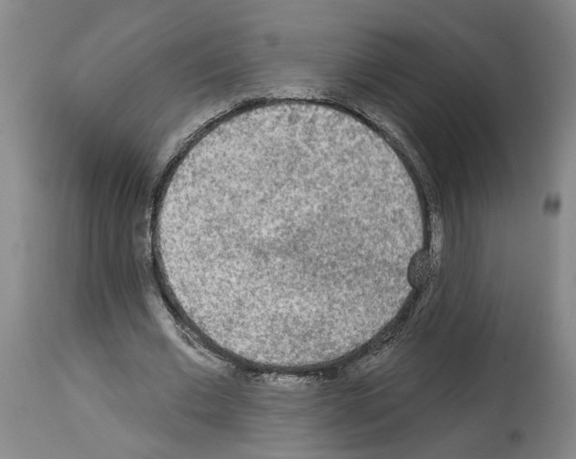 X0000113960677200911061326