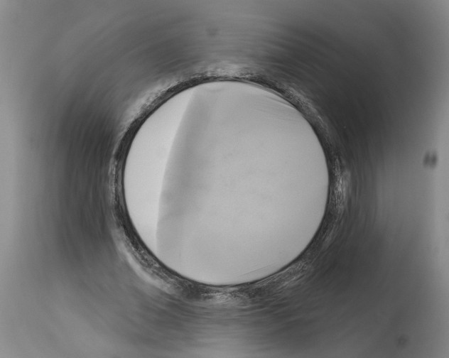 X0000113960678200911061326