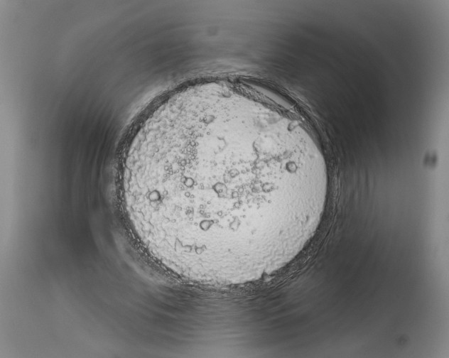 X0000113960679200911061326