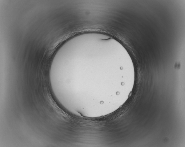 X0000113960681200911061326